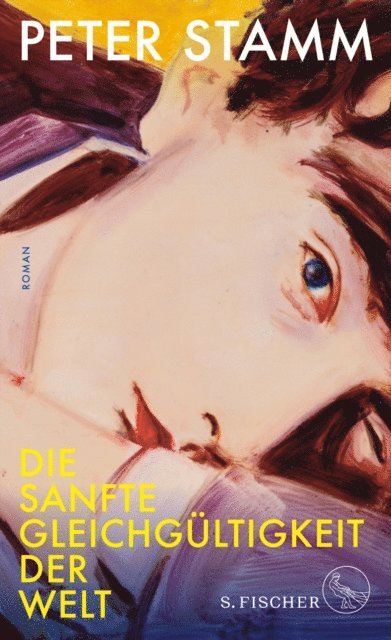 Peter Stamm - Die sanfte Gleichgültigkeit der Welt, E-bok