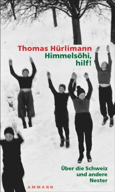 Thomas Hurlimann - Himmelsöhi, hilf!, E-bok