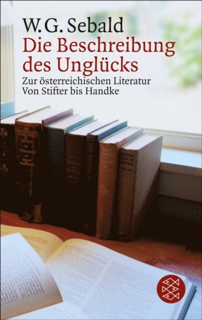 W.G. Sebald - Die Beschreibung des Unglücks, E-bok