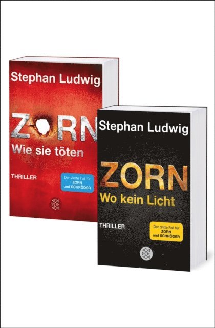 Stephan Ludwig - Wo kein Licht / Wie sie töten - Zwei Zorn-Thriller in einem Band, E-bok
