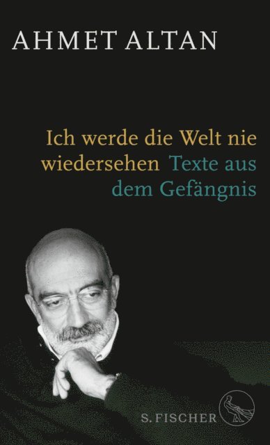 Ahmet Altan - Ich werde die Welt nie wiedersehen, E-bok