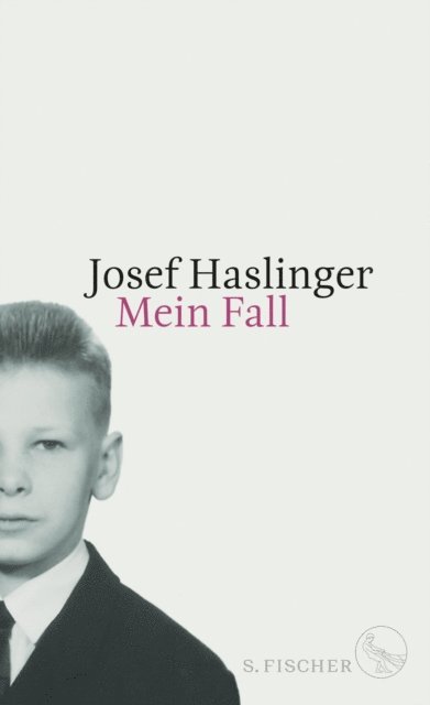 Josef Haslinger - Mein Fall, E-bok