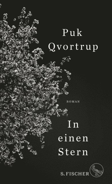 Puk Qvortrup - In einen Stern, E-bok
