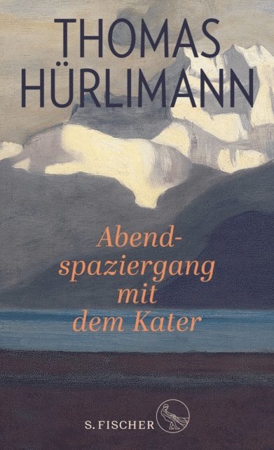 Thomas Hurlimann - Abendspaziergang mit dem Kater, E-bok