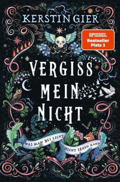 Kerstin Gier - Vergissmeinnicht - Was man bei Licht nicht sehen kann, E-bok