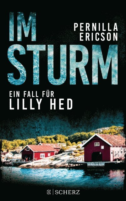 Pernilla Ericson - Im Sturm, E-bok