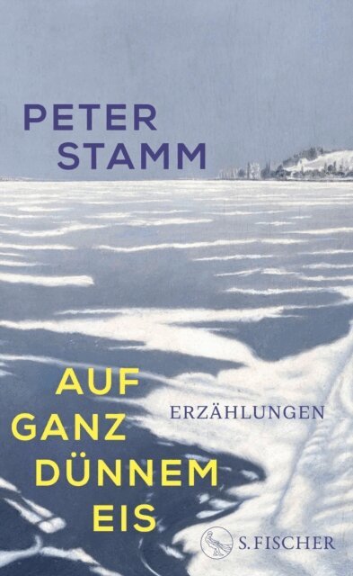 Peter Stamm - Auf ganz dunnem Eis, E-bok