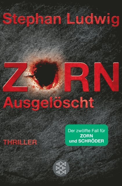 Stephan Ludwig - Zorn – Ausgelöscht, E-bok
