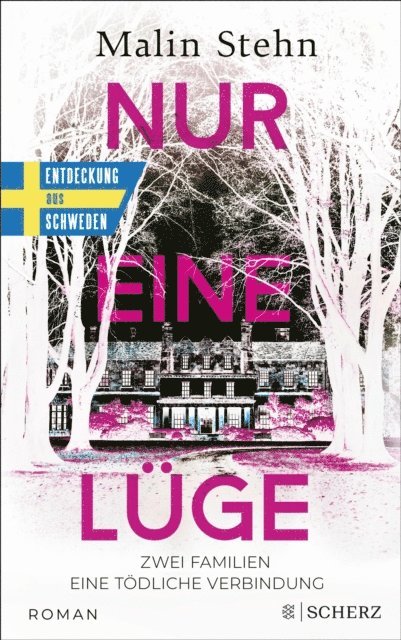 Malin Stehn - Nur eine Lüge – Zwei Familien, eine tödliche Verbindung, E-bok