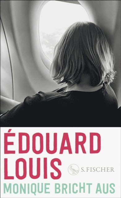 Edouard Louis - Monique bricht aus, E-bok