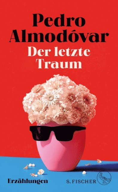 Pedro Almodovar - Der letzte Traum, E-bok