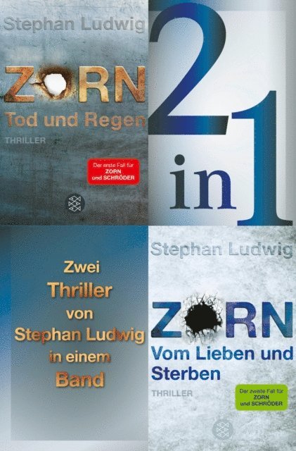 Stephan Ludwig - Tod und Regen / Vom Lieben und Sterben – Zwei Zorn-Thriller in einem Band, E-bok
