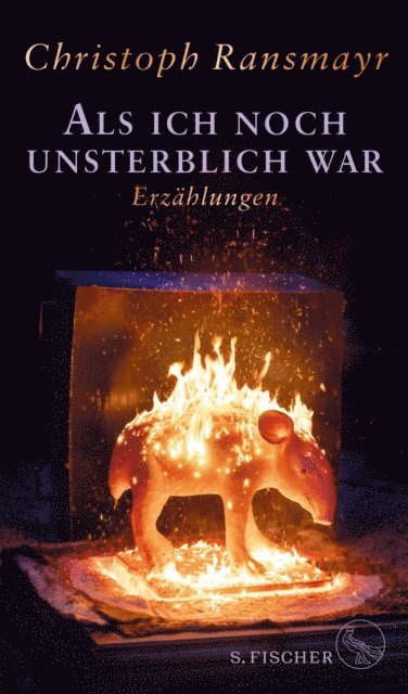 Christoph Ransmayr - Als ich noch unsterblich war, E-bok