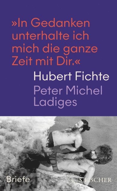 Peter Michel Ladiges, Hubert Fichte, Peter Braun - »In Gedanken unterhalte ich mich die ganze Zeit mit Dir.«, E-bok