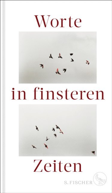 Michael Reinfarth, Maren Baier, Sophie von Heppe, Oliver Vogel - Worte in finsteren Zeiten, E-bok