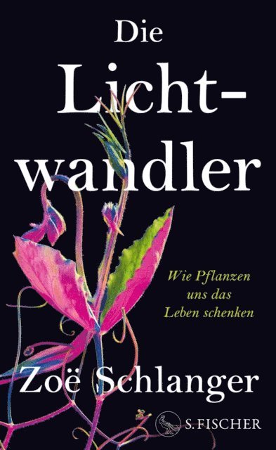 Zoe Schlanger - Die Lichtwandler, E-bok