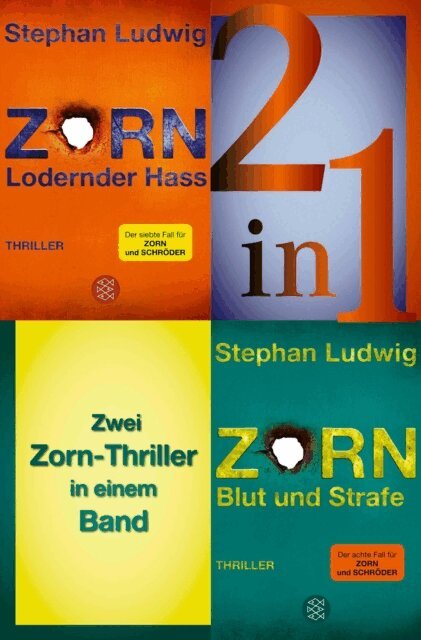 Stephan Ludwig - Lodernder Hass / Blut und Strafe – Zwei Zorn-Thriller in einem Band, E-bok
