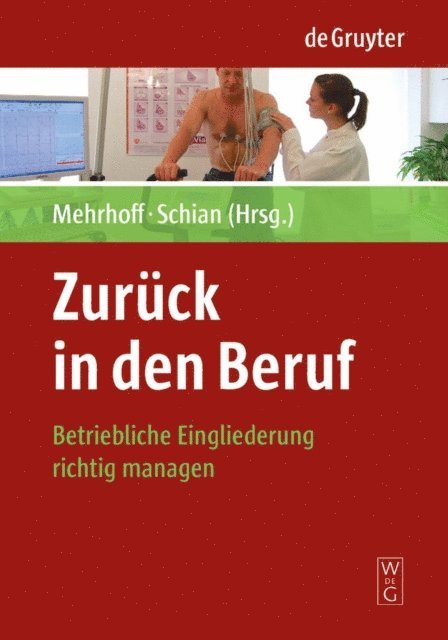 Hans-Martin Schian, Friedrich Mehrhoff - Zurück in den Beruf, E-bok