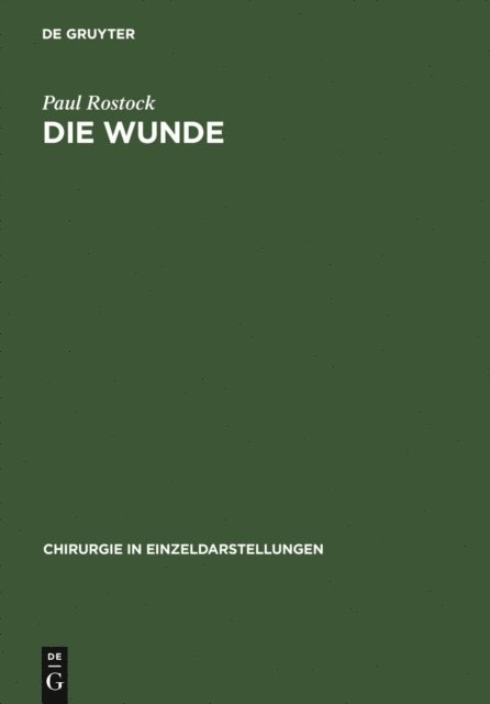 Paul Rostock - Die Wunde, E-bok