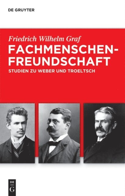 Friedrich Wilhelm Graf - Fachmenschenfreundschaft, E-bok
