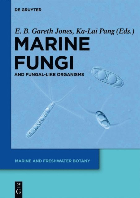 Ka-Lai Pang, E. B. Gareth Jones - Marine Fungi, E-bok