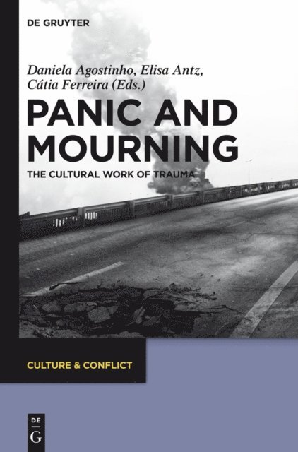 Catia Ferreira, Elisa Antz, Daniela Agostinho - Panic and Mourning, E-bok