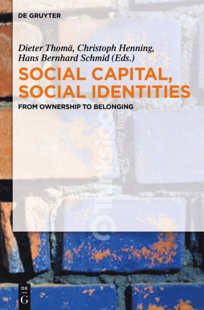 Hans Bernhard Schmid, Christoph Henning, Dieter Thoma - Social Capital, Social Identities, E-bok