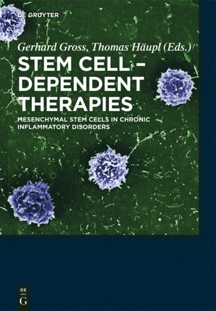 Thomas Haupl, Gerhard Gross - Stem Cell-Dependent Therapies, E-bok