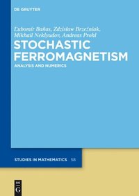 Stochastic Ferromagnetism