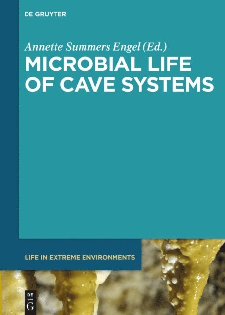 Annette Summers Engel - Microbial Life of Cave Systems, E-bok