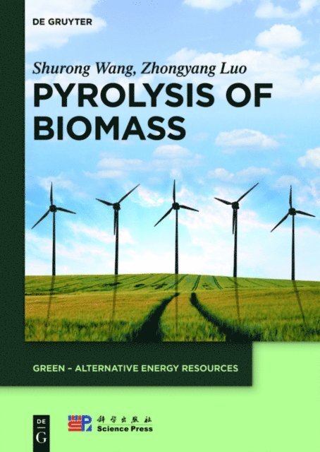 Zhongyang Luo, Shurong Wang - Pyrolysis of Biomass, E-bok