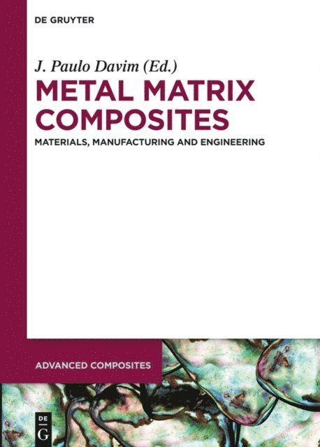 J. Paulo Davim - Metal Matrix Composites, E-bok