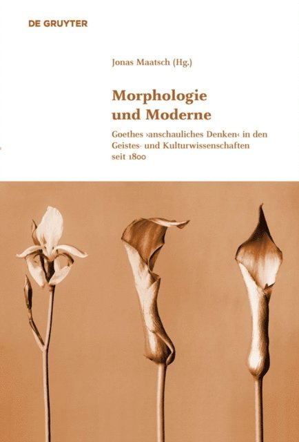 Jonas Maatsch - Morphologie und Moderne, E-bok