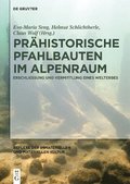 Prahistorische Pfahlbauten im Alpenraum