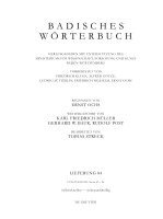 Tobias Streck - Badisches Wörterbuch. Band V/Lieferung 84, Häftad. Tillgänglighet: Tillfälligt slut