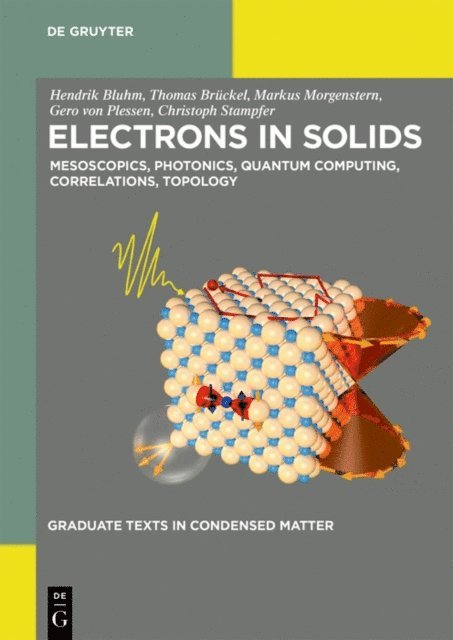 Christoph Stampfer, Gero Plessen, Markus Morgenstern, Thomas Bruckel, Hendrik Bluhm - Electrons in Solids, E-bok