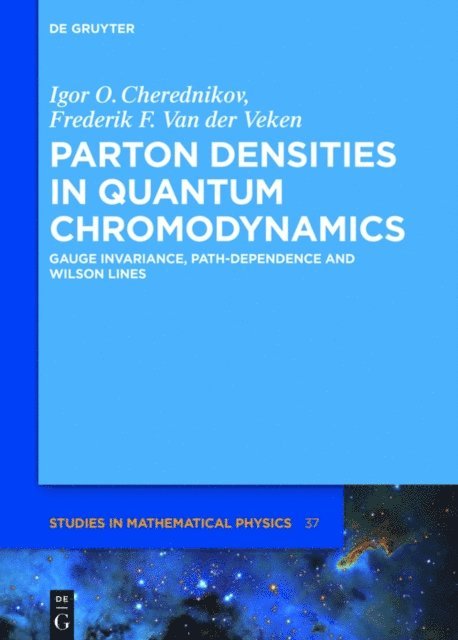 Frederik F. Van der Veken, Igor Olegovich Cherednikov - Parton Densities in Quantum Chromodynamics, E-bok