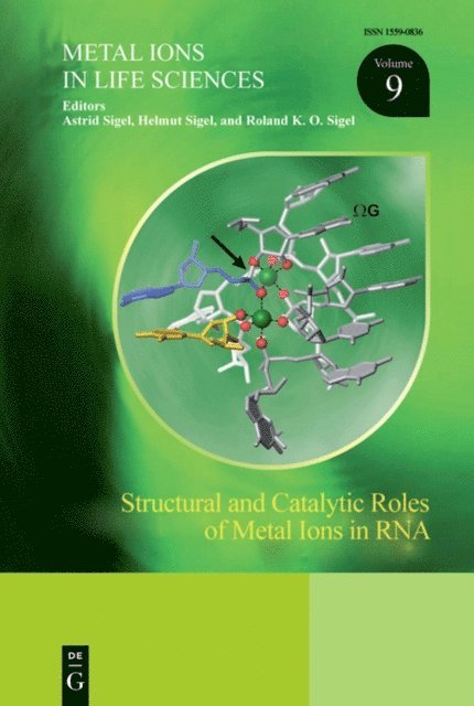 Roland K.O. Sigel, Helmut Sigel, Astrid Sigel - Structural and Catalytic Roles of Metal Ions in RNA, E-bok