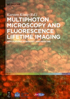 Multiphoton Microscopy and Fluorescence Lifetime Imaging av Karsten König, Karsten Thérèse König Baldeweck, Marco Castello, Dhyan Chandra, Heejin Choi
