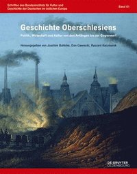 Geschichte Oberschlesiens: Politik, Wirtschaft Und Kultur Von Den Anfngen Bis Zur Gegenwart