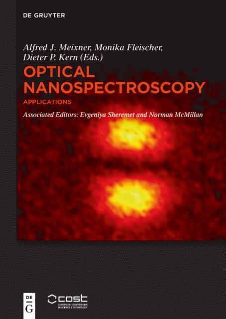 Norman McMillan, Evgeniya Sheremet, Dieter P. Kern, Monika Fleischer, Alfred J. Meixner - Applications, E-bok