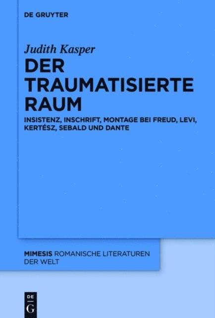 Judith Kasper - Der traumatisierte Raum, E-bok