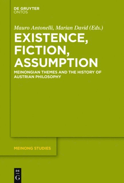 Marian David, Mauro Antonelli - Existence, Fiction, Assumption, E-bok