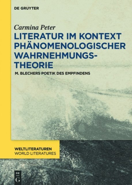 Carmina Peter - Literatur im Kontext phänomenologischer Wahrnehmungstheorie, E-bok