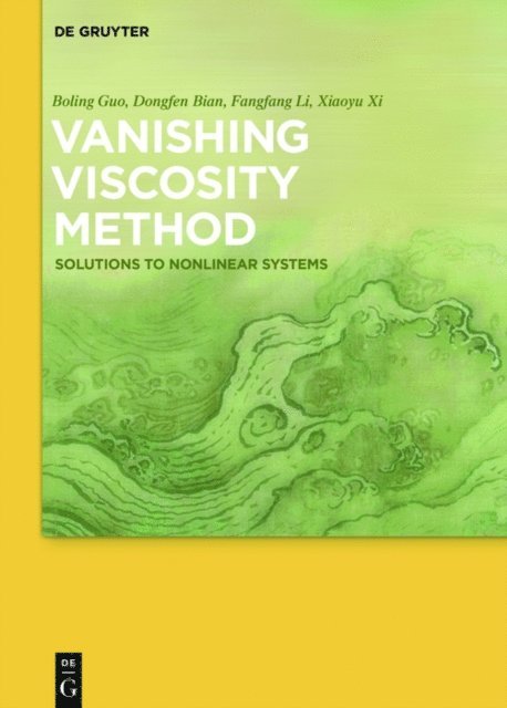 Xiaoyu Xi, Fangfang Li, Dongfen Bian, Boling Guo - Vanishing Viscosity Method, E-bok
