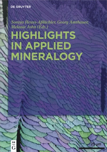 Melanie John, Georg Amthauer, Soraya Heuss-Abichler - Highlights in Applied Mineralogy, E-bok. Tillgänglighet: Lägg i varukorg