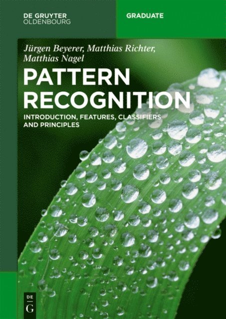 Matthias Nagel, Matthias Richter, Jurgen Beyerer - Pattern Recognition, E-bok