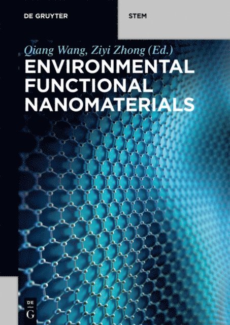 Ziyi Zhong, Qiang Wang - Environmental Functional Nanomaterials, E-bok