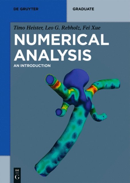 Fei Xue, Leo G. Rebholz, Timo Heister - Numerical Analysis, E-bok