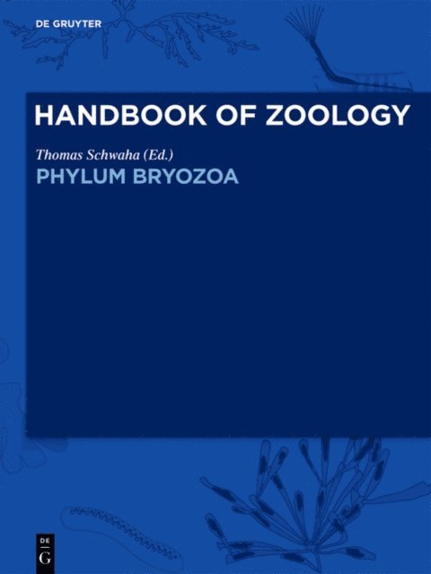 Thomas Schwaha - Phylum Bryozoa, E-bok